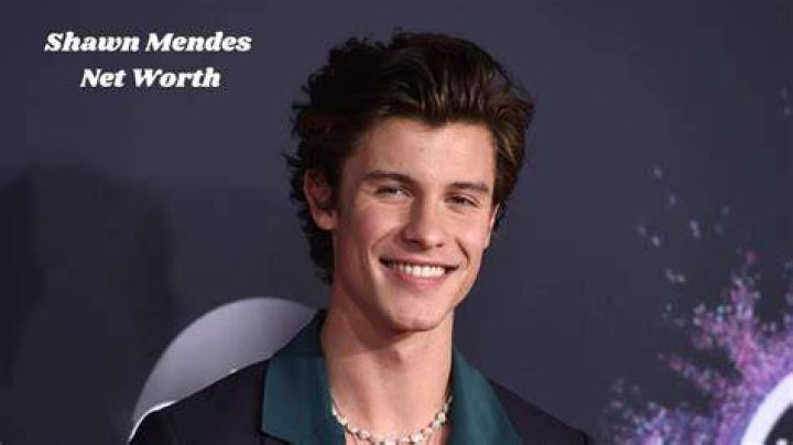 Shawn Mendes Net Worth 2020 The Washington Note